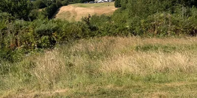 Club image Pontardawe Golf Club