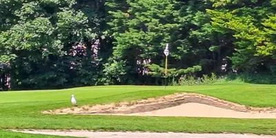 Club image Glamorganshire Golf Club