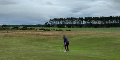 Club image Tain Golf Club