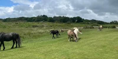 Club image Clyne Golf Club