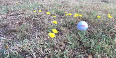 Club image Golf Club Centanni