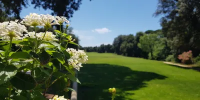 Club image Tirrenia Golf Club