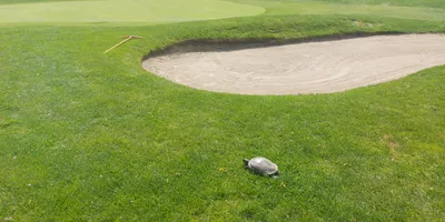 Club image Moncalieri Golf Club Ssd