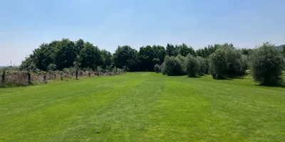 Club image Colombaro Golf