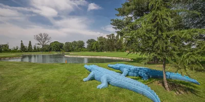 Club image Golf Le Rovedine