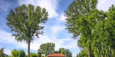 Club image Golf Le Rovedine