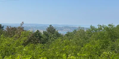 Club image Trieste Golf Club