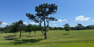 Club image Trieste Golf Club