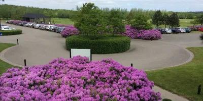 Club image Breinholtgård Golf Center