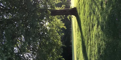 Club image Breinholtgård Golf Center