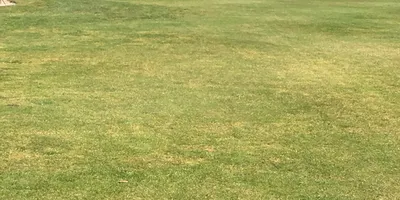 Club image Brønderslev Golf Klub