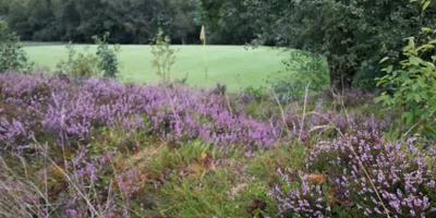 Club image Dejbjerg Golf Klub