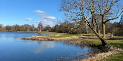 Club image REE Golf