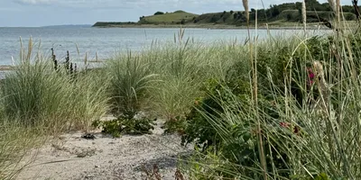 Club image Sejerø Golfklub