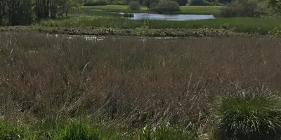 Club image Skjoldenæsholm Golfklub