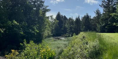 Club image Trehøje Golfklub