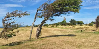 Club image Ærø Golf Klub