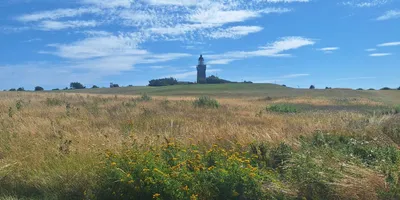 Club image Ærø Golf Klub