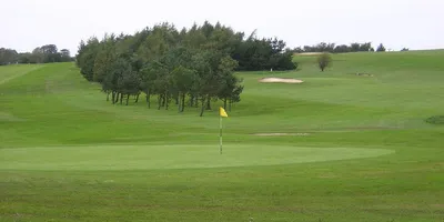 Club image Langlands Golf Club