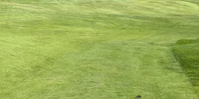 Club image Dynekilens Golfklubb