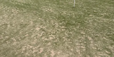 Club image Kristianstads Golfklubb