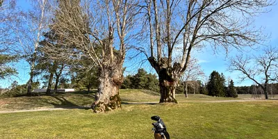 Club image Kungsängen Golf Club