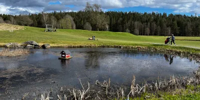 Club image Sjögärde Golfklubb