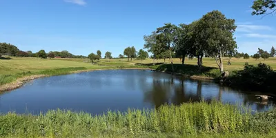 Club image Tomelilla GK