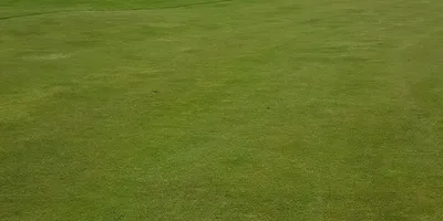 Club image Tönnersjö Golfklubb
