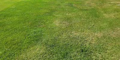 Club image Vara Bjertorp Golfklubb