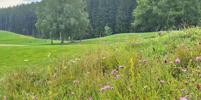 Club image Golfclub Innsbruck-Igls - Rinn
