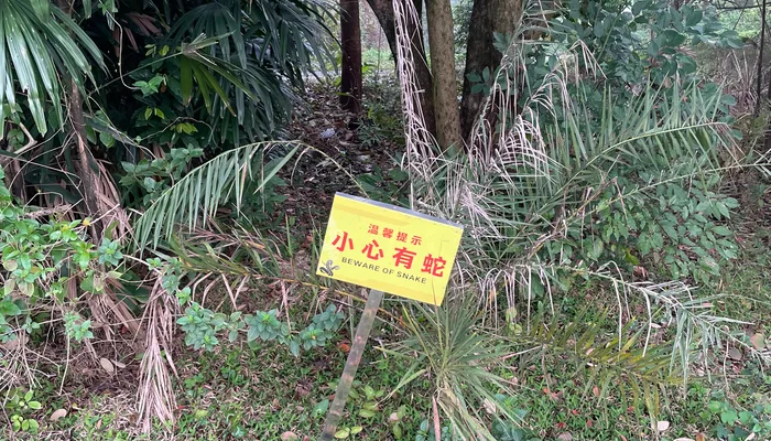 A — 🇨🇳 QingYuan, Guangdong, CN