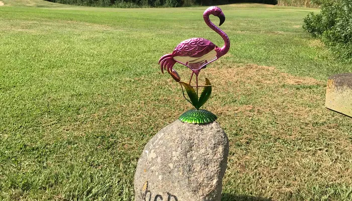 Chia Golf Club Pitch & Putt