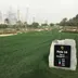 clubs_1