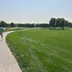 clubs_1