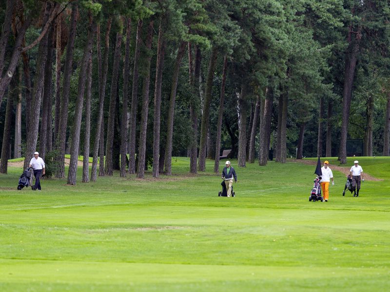 Golf und BerlinWannsee e.V. Billedgalleri Leadingcourses