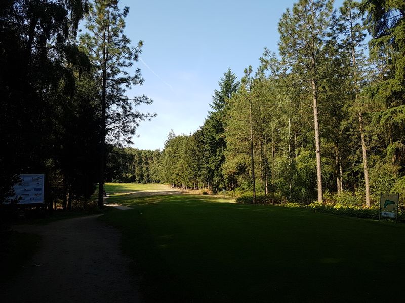 VechtaWelpe e.V. Fotooverzicht Leadingcourses