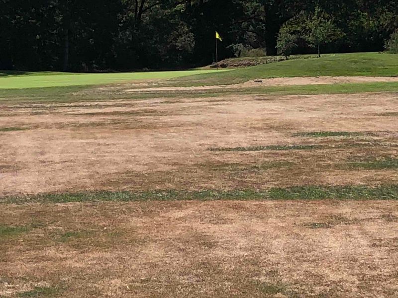 Golf De Loudun Fontevraud Domaine De Roiffé