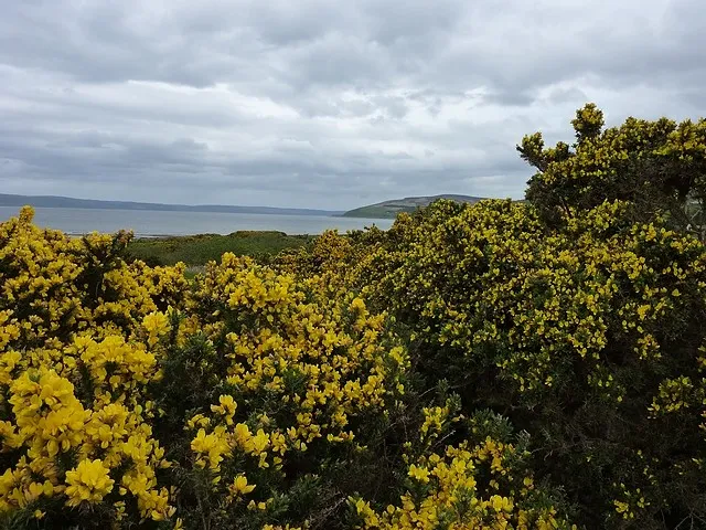 Machrie Bay Golf Club
