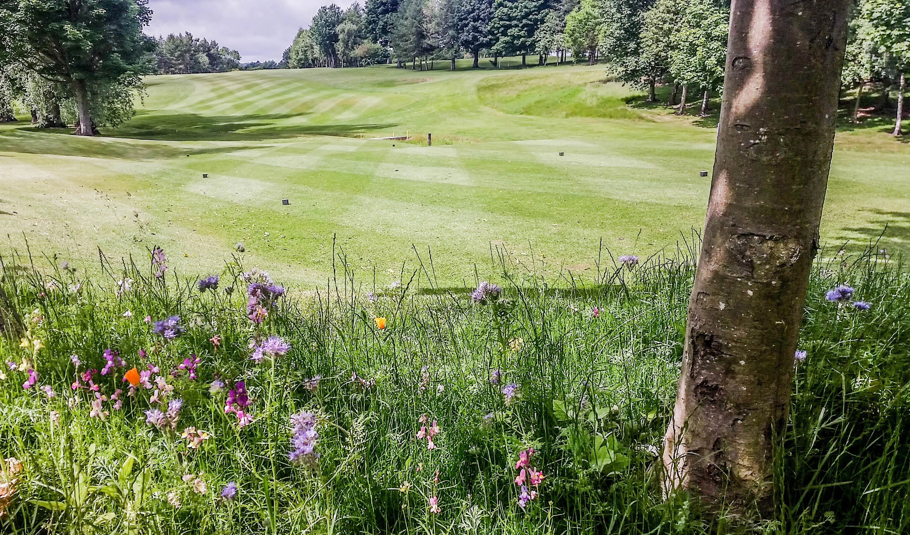 Broomieknowe Golf Club