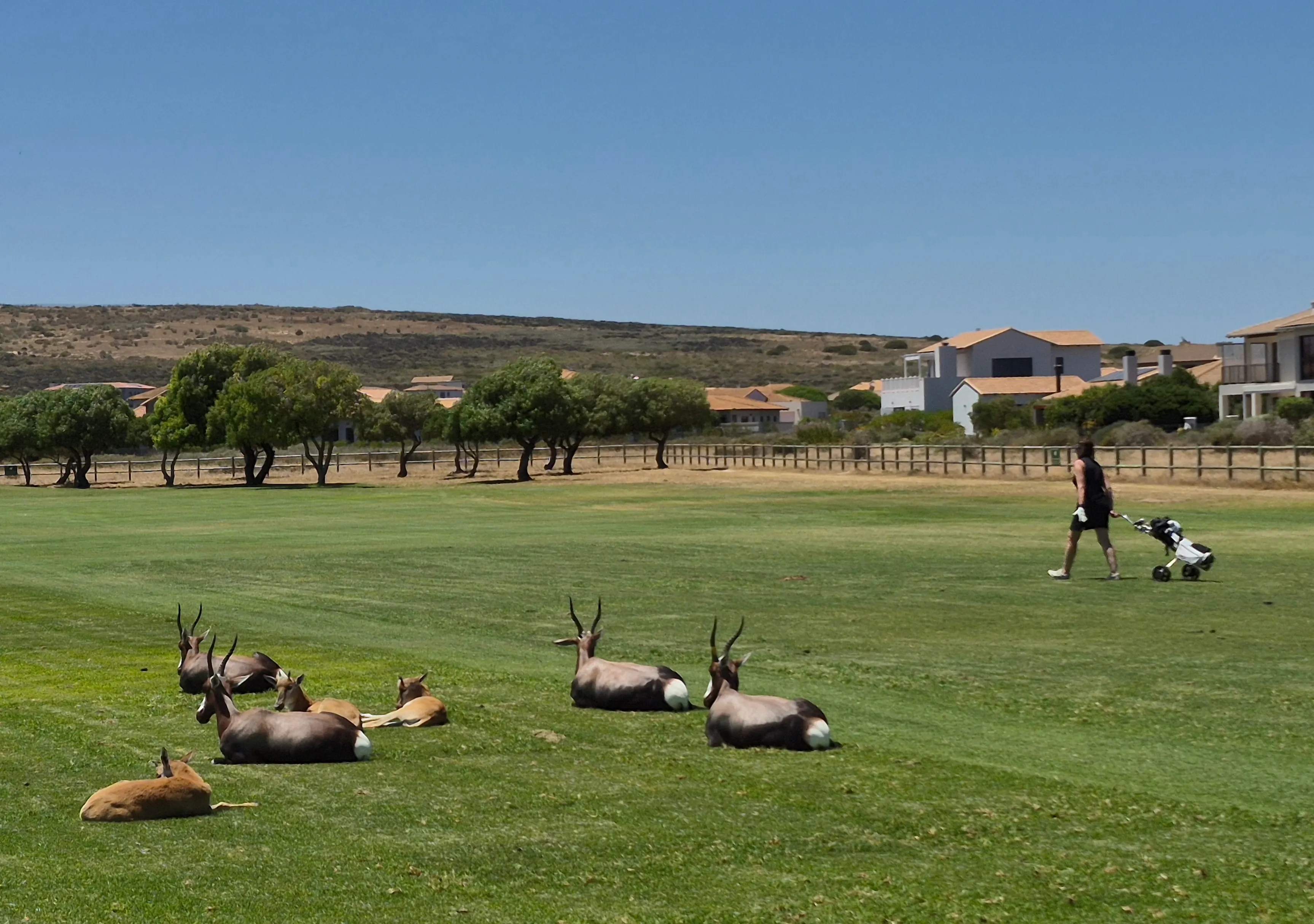 Langebaan Country Estate