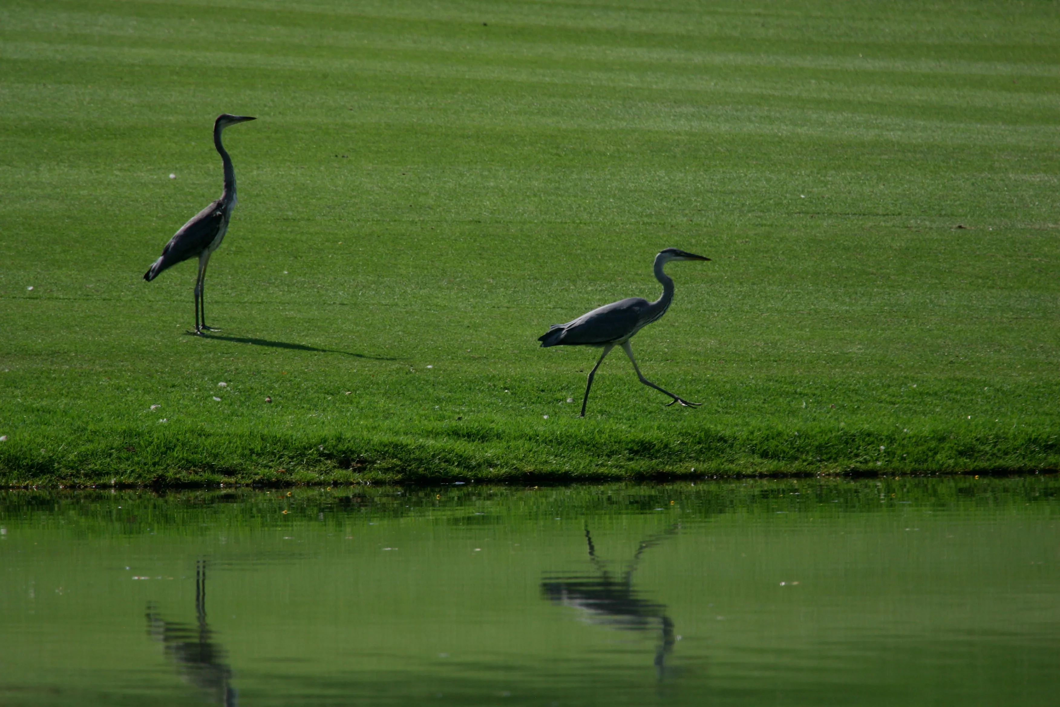 Gary Player Country Club