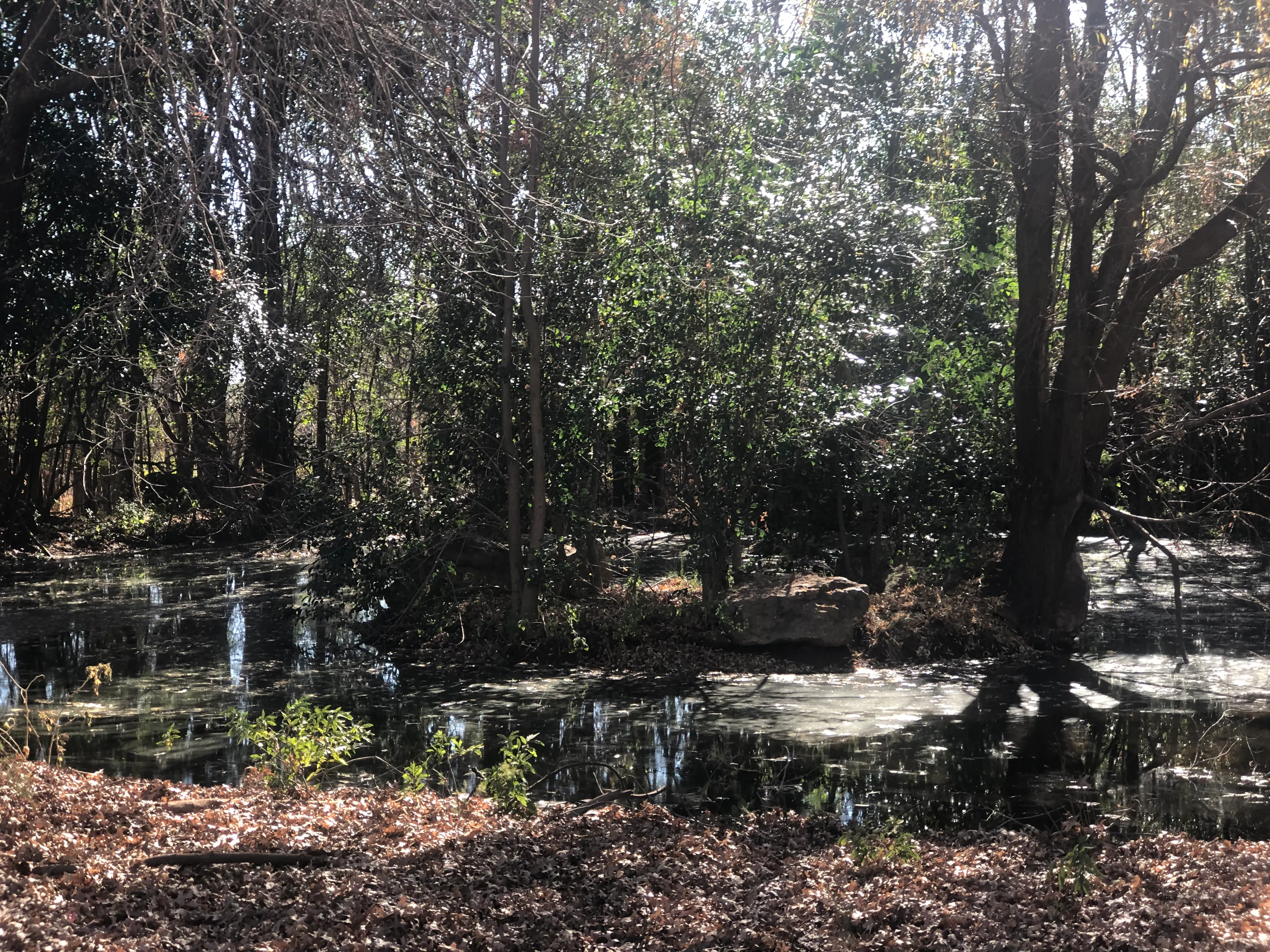 Goldfields West Golf Club