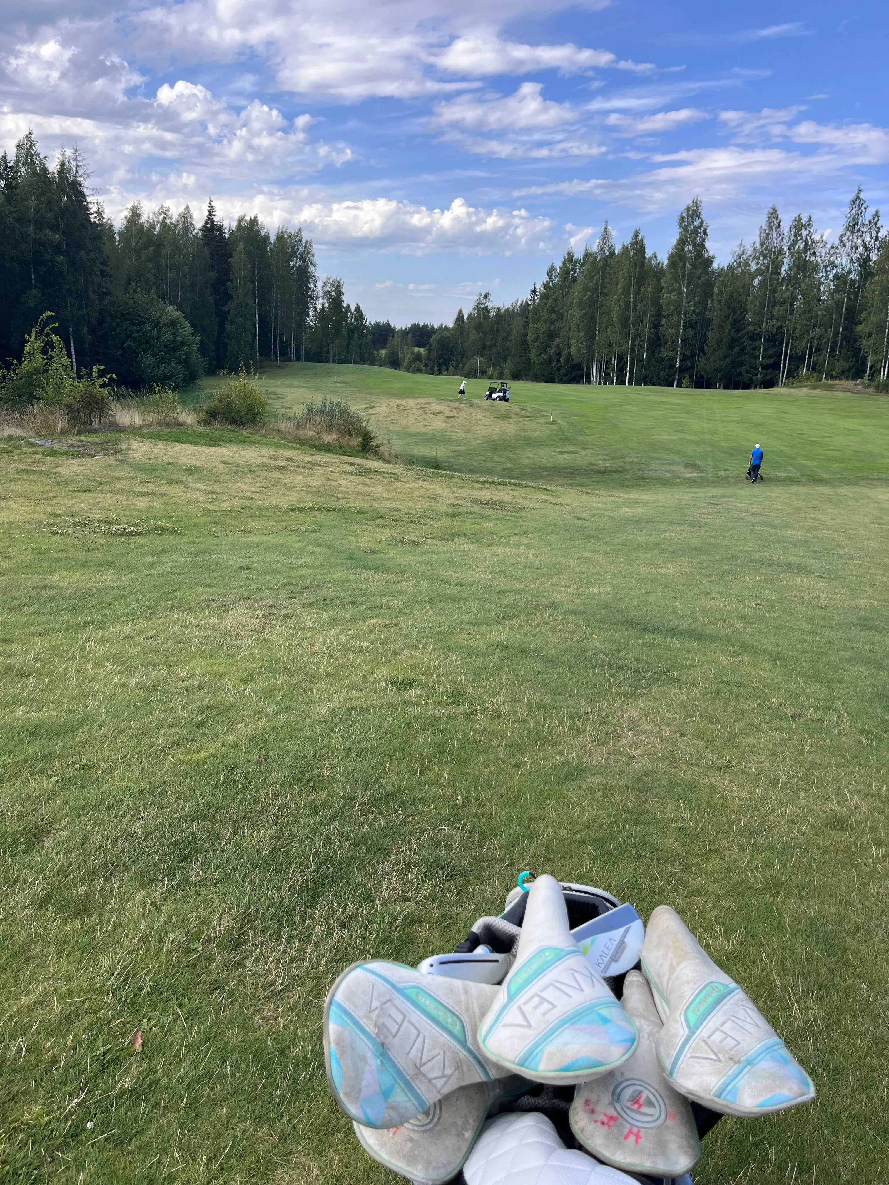 Hirvihaaran Golfseura