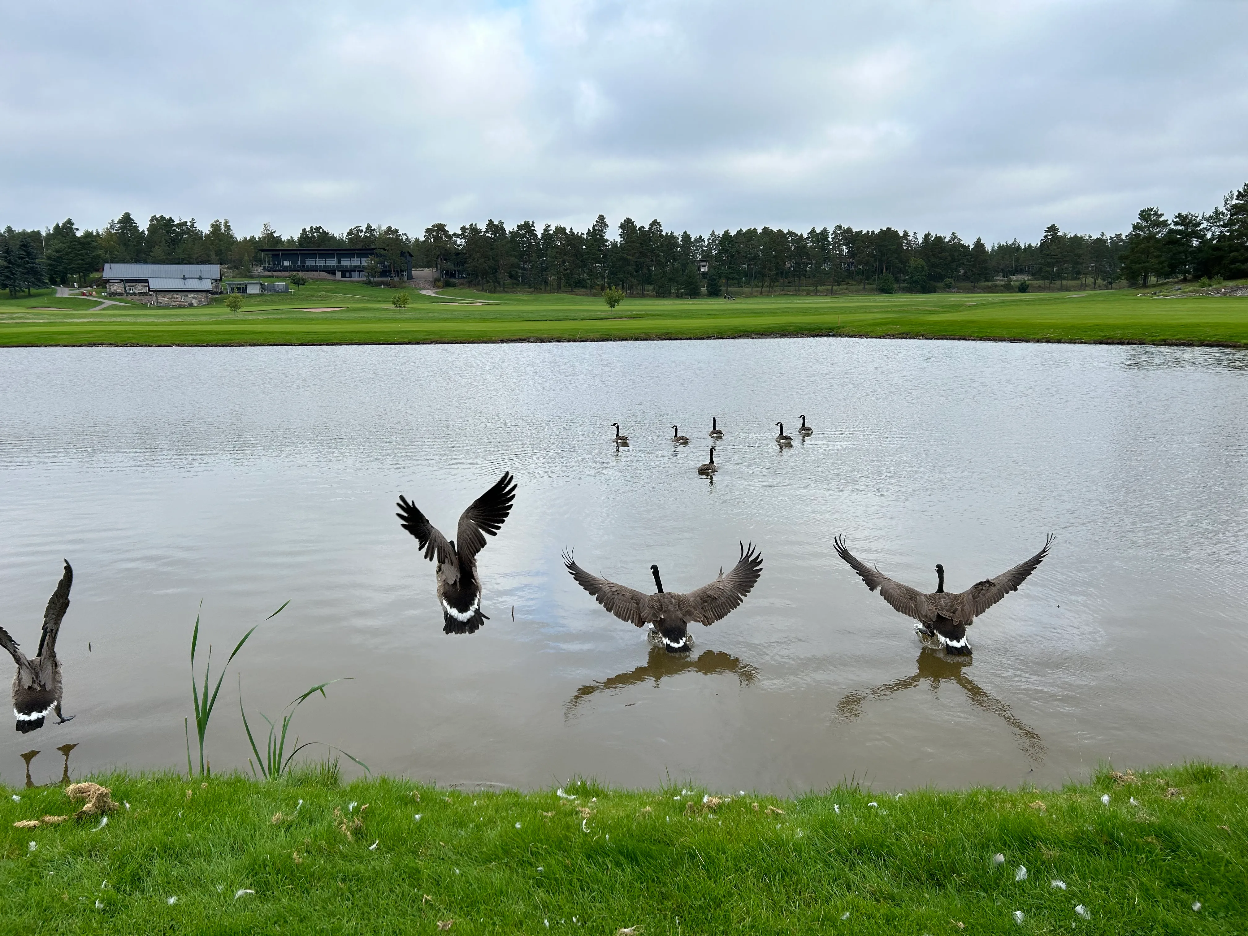 Kultaranta Golf Resort