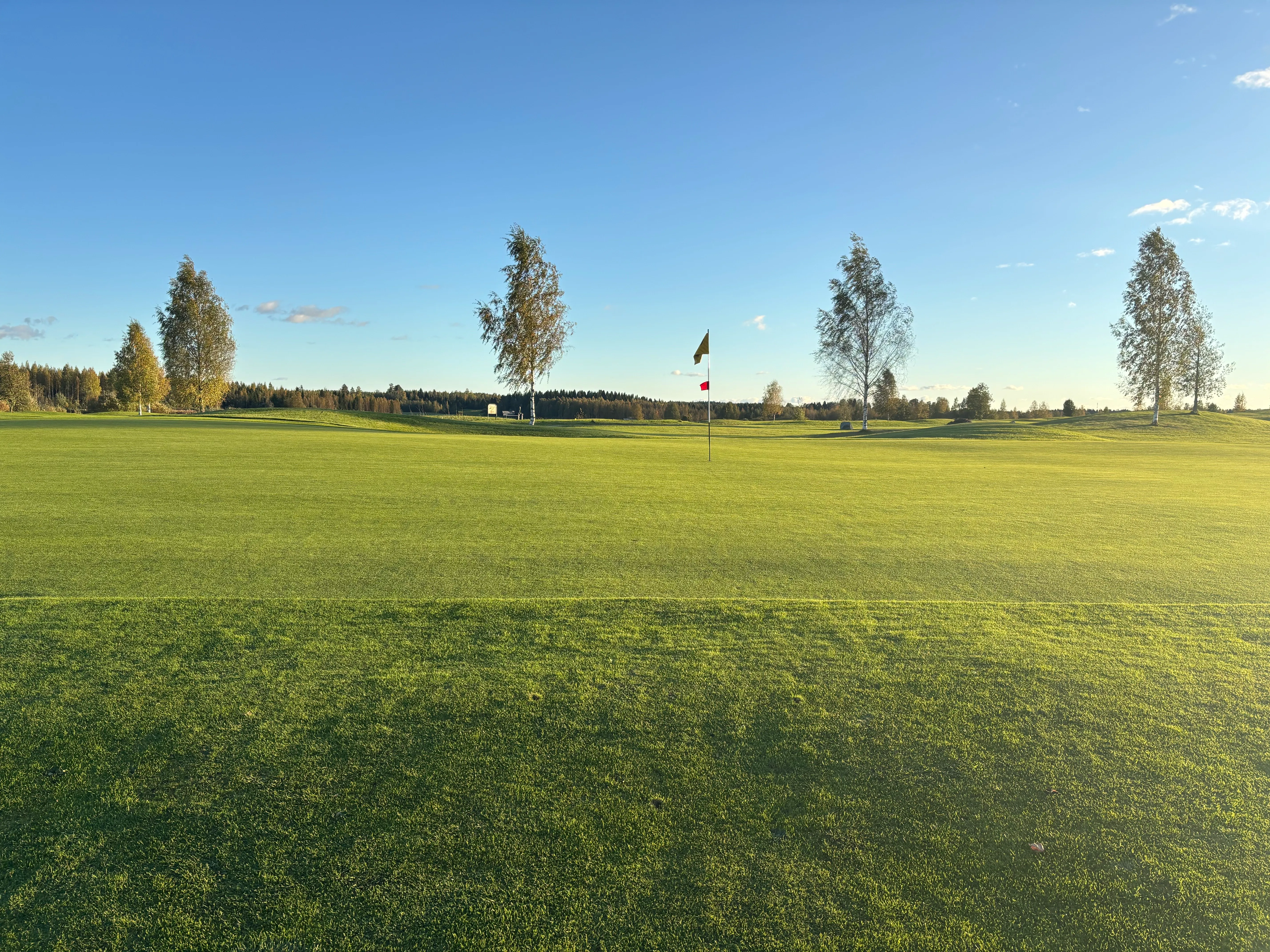 Ylä-Savon Golfseura