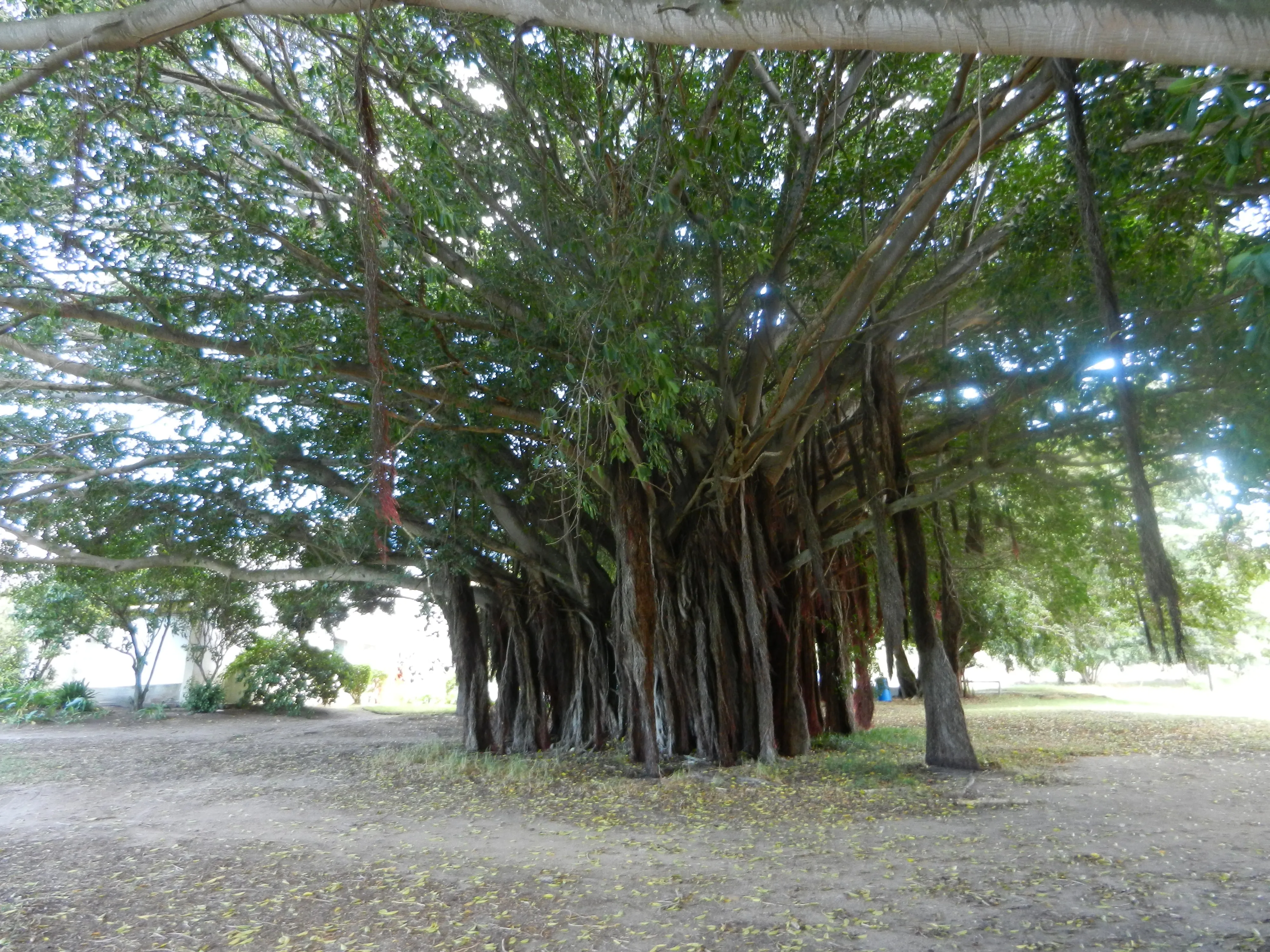 Bredasdorp Golf Club