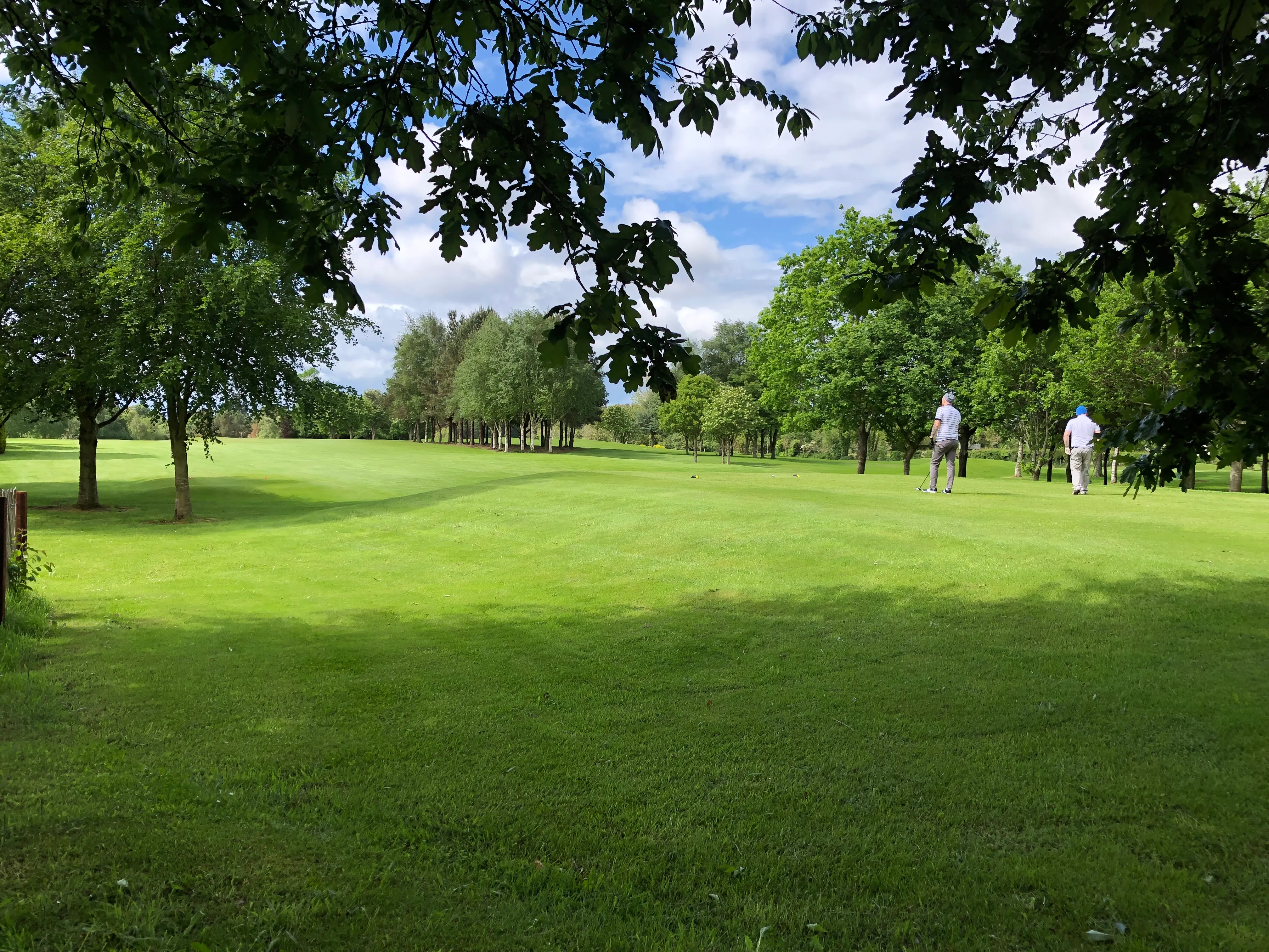 Ballymascanlon Golf Course