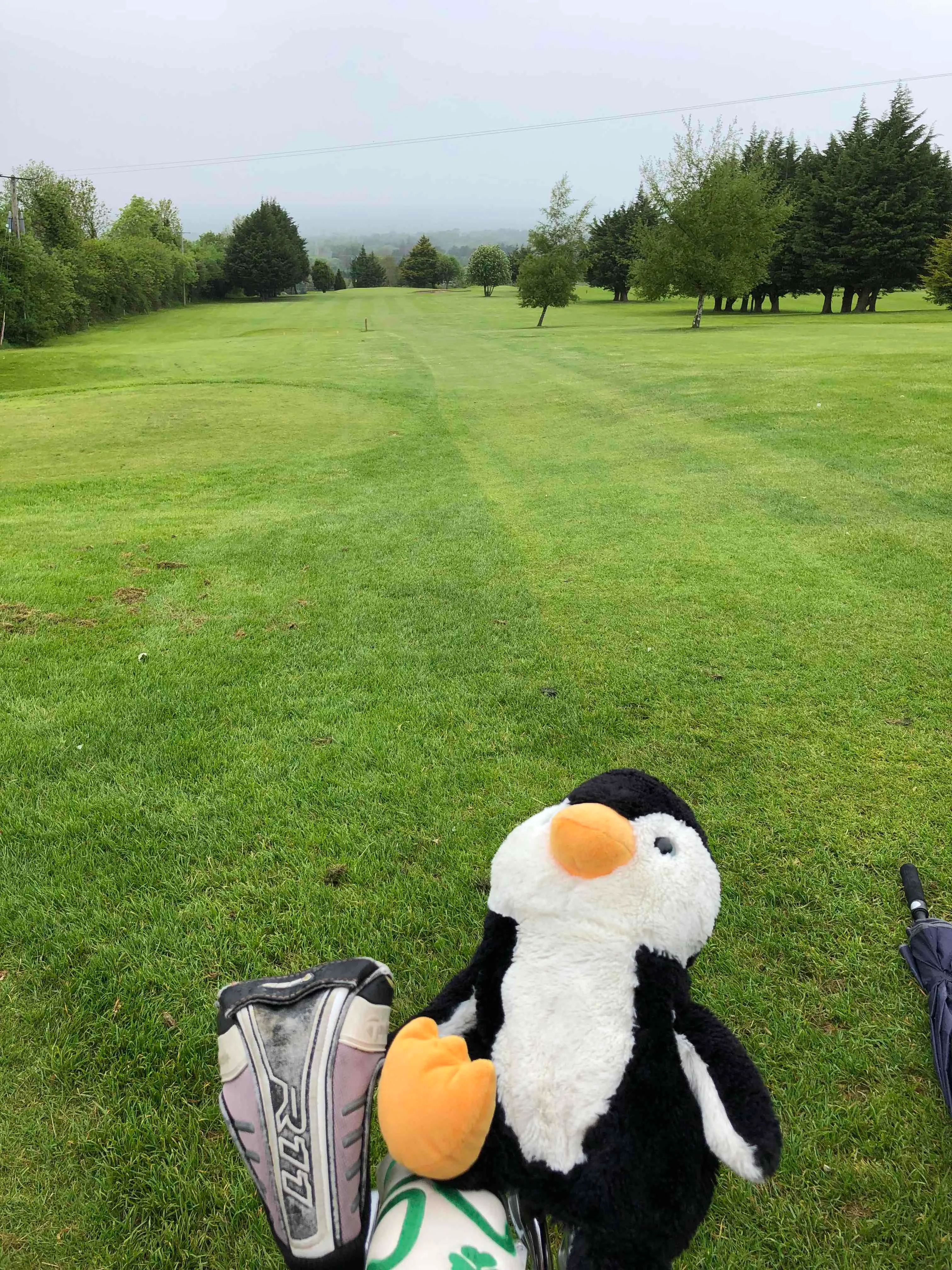 Ballinascorney Golf Club