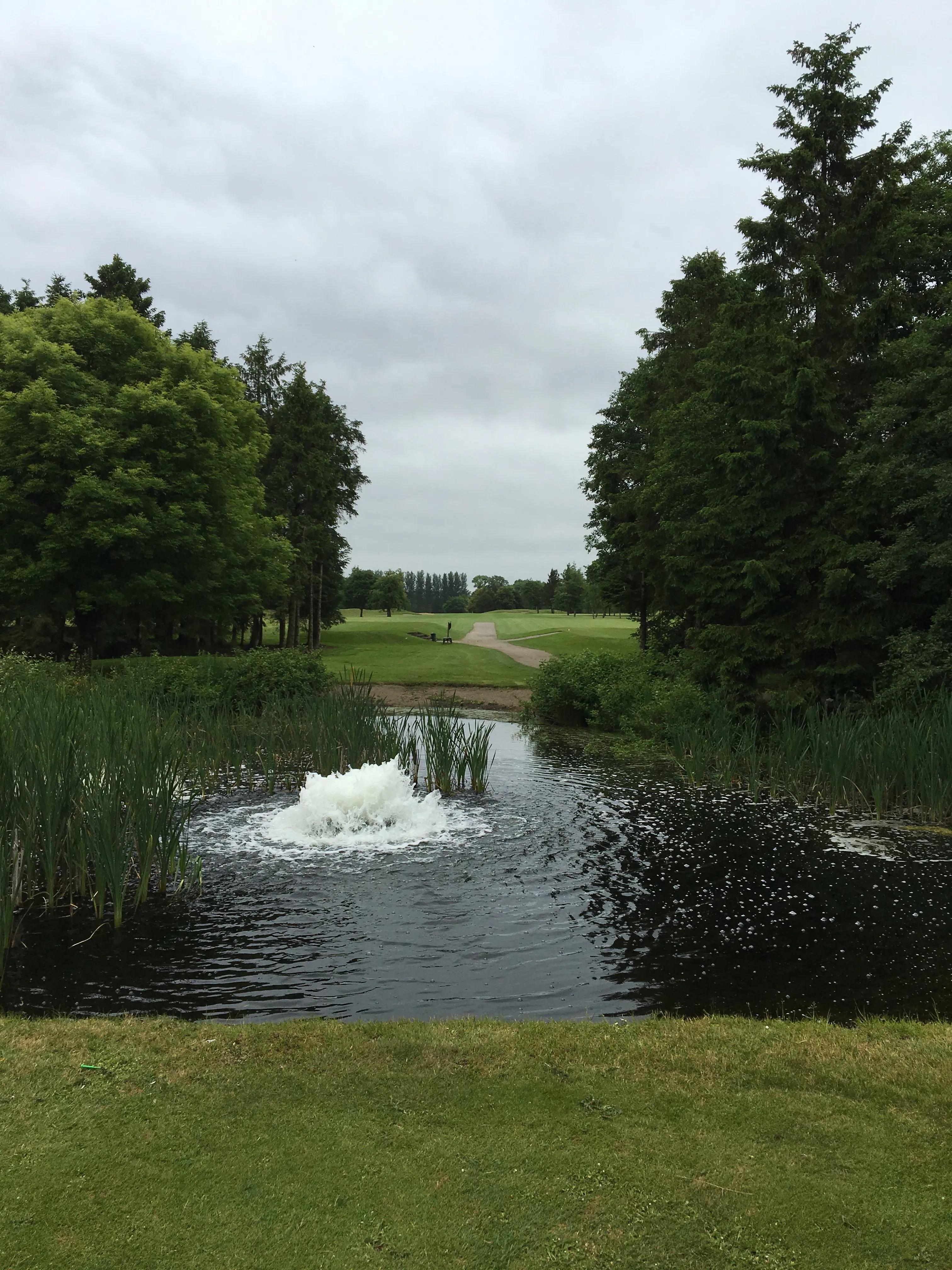 Black Bush Golf Club